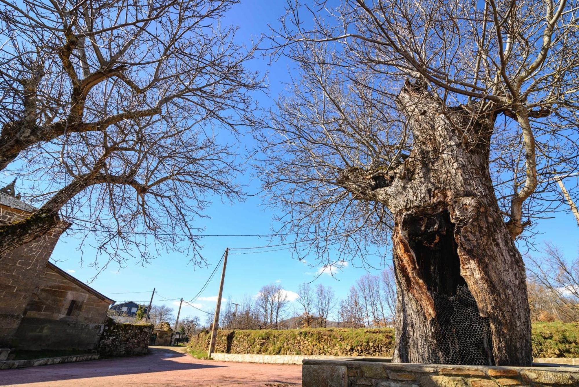 Casas Rurales San Justo Exteriör bild